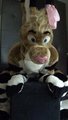 .gif animation practice by Stitcharoo