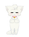 Live2D cat model by Saucy