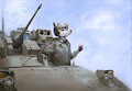 Possum in a Bradley [C] by pimpartist