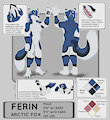 Ferin 2021 Ref Sheet by JasperShiba