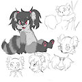 Coon by oviicula19