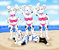 Beach Time Dalmation (by Rouyuki) by BunPatrol