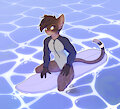 Cats aren&rsquo;t afraid of water by chris13131415