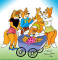 Introducing the Kits by Micke