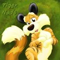 Tiger Belly by Bahlam