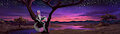 Enjoying the sunset