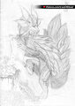 Mizutsune by Drake