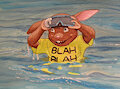 Tommy Snorkeling