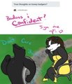 Ask DatBadger - pt. 7 Honey Badgers by DatBadger