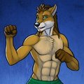 Bundadingy Fight Pose by tsaiwolf