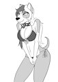 Nikki the Pit bull terrier