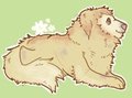 Street dog~ by Layt0n