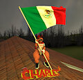 New Submission by CharlesCharmeleon