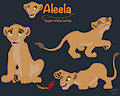 Aleela - The Broken Circle Saga