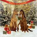 Merry Christmas ! by Swag2Dragon