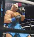 Boxer Horse 1