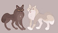 Wolf and fox by labbit
