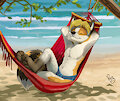 Hammock by pandapaco