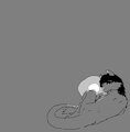 loud by evepoesy