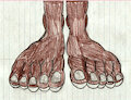Phoebe the Raccoon Footshot by LouisEugenioJR1990