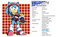 Profile: Velocity the Hedgehog