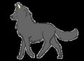 Sassy Wolf out for a stroll  by Saucy