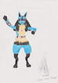 Lucario Pokémon Ranger by FurryRickEs257