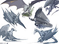Dragon Studies by Lizet