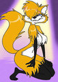 Mehitabel Colors