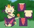 Meowth and Purrloin by Zenu