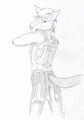 In No Way Xena Warrior Princess by Azirik