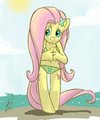 Fluttershy by atryl