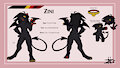 Zini by Zini