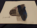 A Panda original by Soulfire