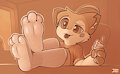 Condom Socks