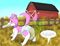Stinky Pet by HydroFTT