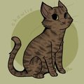 CHAWLIE by Layt0n