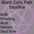Black Cat's Path: Sacrifice by Blazingpelt