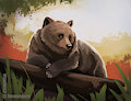 Bear speedpaint