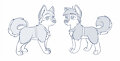 Baby pictures by Kim99