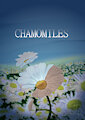 Chamomiles by BlackFly