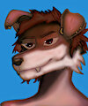 Dog anthro portrait by cloudybunn