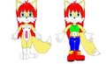 Sonic OC: Fenneca Lea by SkyeEldrich