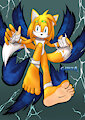 Mage Warrior Tails by MidnightMuser