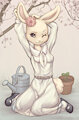 Flower of the season by Elronya