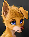 :l by Wugi