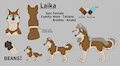 Laika 2023 reff by Kim99