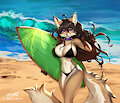 Beach Jugs by DragonFU