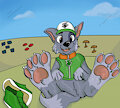 Rocky have a break [clean paws] by thedashy