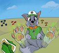 Rocky have a break [dirty paws] by thedashy